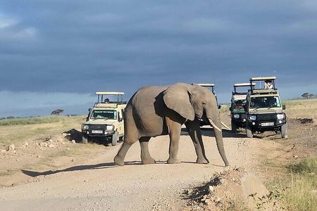 6 Days Safari Tour in Amboseli, Tsavo West and Tsavo East