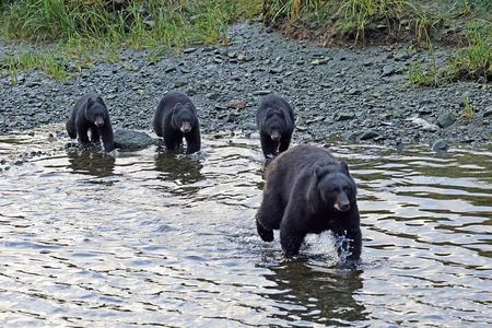 VIP Private Alaska Native Excursion (Cultural, Scenic Experience)