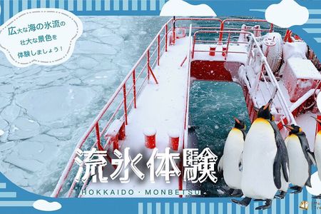 Hokkaido Winter 2-Day Tour: Icebreaker Cruise, Sounkyo & Zoo