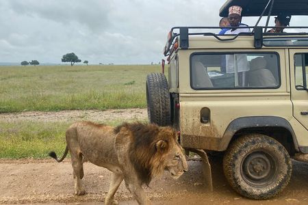 Discover the Beauty of Day Safari to Selous Game Reserve 