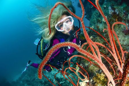 Scuba dive with sharing transfers