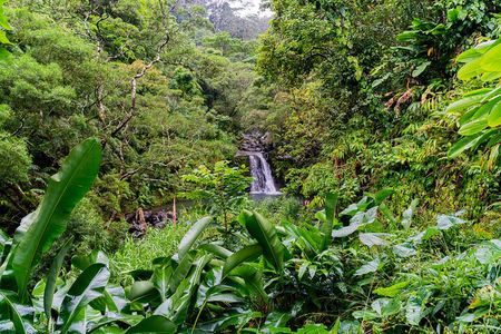 VIP Private Full-Day Road to Hana Tour from Wailea - Kihei
