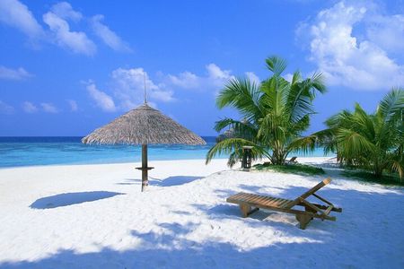 Contoy Reef & Isla Mujeres Tour! From Cancun & Playa del Carmen 