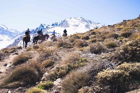 Ride in the semi-private Andes with roast
