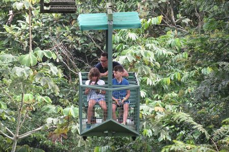 Aerial Tram & Sloth Sanctuary in the Rainforest
