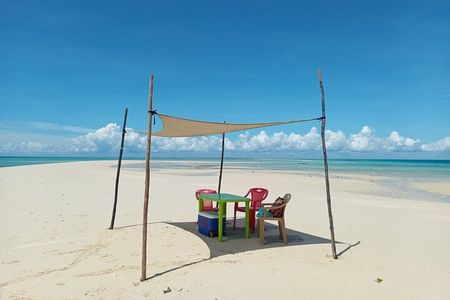 Full day private Nakupenda bis / Nyange Sandbank in Zanzibar