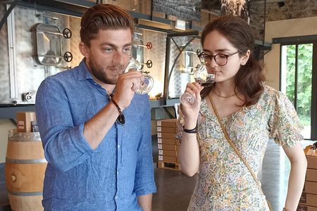 Guided Day Tour and Wine Tasting Northern Rhône Valley