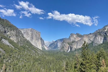 Yosemite National Park & Giant Sequoias Private Tour 