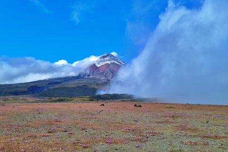 Full Day Tour to Cotopaxi Volcano from Quito