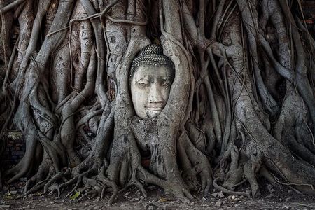 Discover Ayutthaya at Sunset: Historic Temples & River Cruise