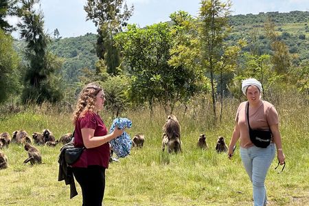 1-Day Tour Old bridge, Monastery,water falls Wildlife,Birds, 