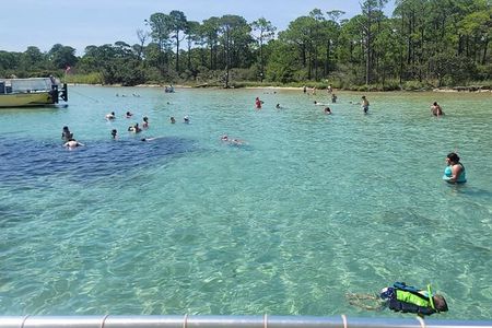 Family-Friendly Snorkeling and Dolphin Tour from FWB