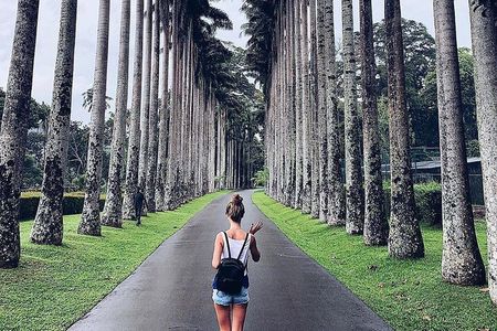 Kandy Day Tour From Colombo