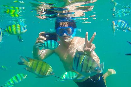 Koh Talu Full Day Shared Experience with Lunch