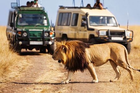4 days Awesome Luxury safari Tarangire Serengeti & Ngorongoro 