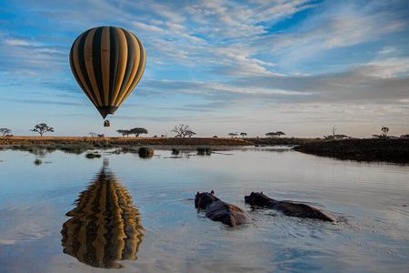 6 Days Tarangire, Serengeti, Ngorongoro & Manyara Joining Tour 
