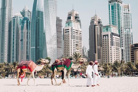 Explore Dubai Full Day Private City Tour