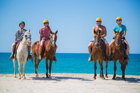 2 Hours Horse Riding Adventure on the beach From Sharm El Sheikh