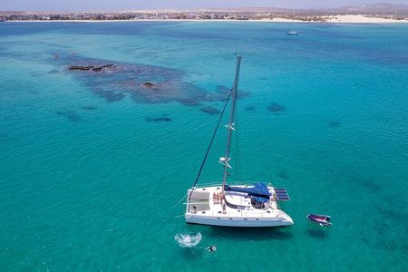 Catamaran Sailing Tour or Whale Watching at Boa Vista