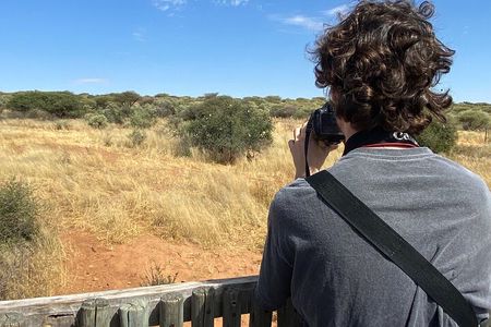 Predator Encounter: Half-Day Carnivore Feeding Windhoek 