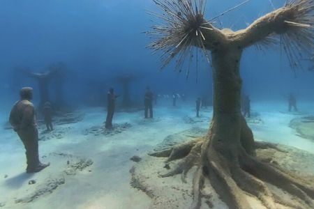 Scuba Diving Experience & MUSAN Dive + Free Edited Video 2xdives