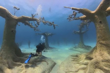 Scuba Diving Experience & MUSAN Dive + Free Edited Video 2xdives