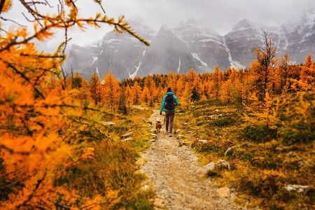 Moraine Lake: Larch Valley Hike, Departure from Banff