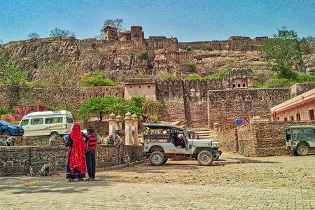03 Days Private Ranthambore Wildlife Safari Tour From Delhi