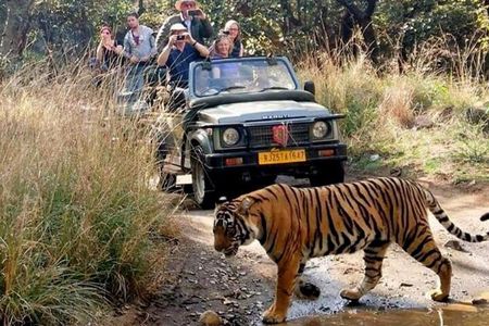 From Delhi: Golden Triangle India Tour with Tiger Safari