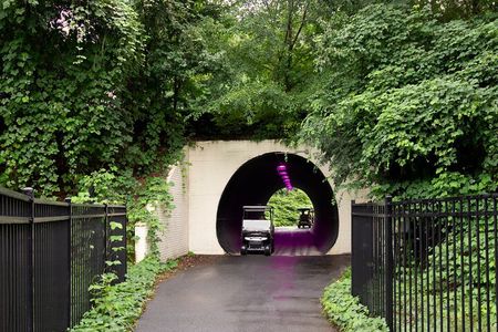 Magical Golf Cart Tour Through Peachtree City Trails