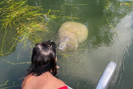 Crystal River: Private Manatee Boat Tour