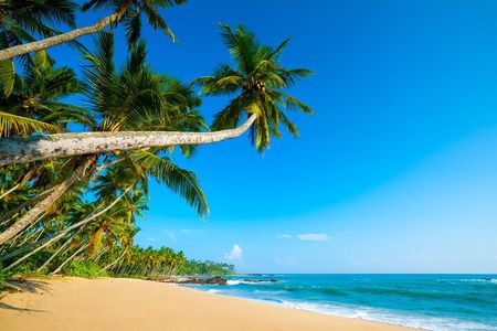 Private Tour On São Tomé Island