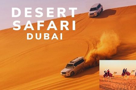 Desert Safari Full-Day Tour in Dubai