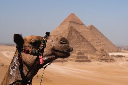 Pyramids and Egyptian Museum - Cairo Tour