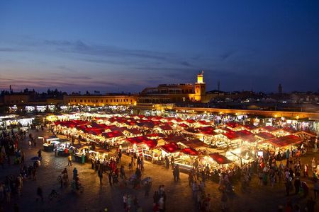 Half-Day Private City Tour in Marrakech