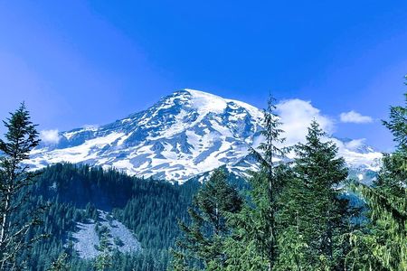 Mount Rainier Customized Tour from Seattle