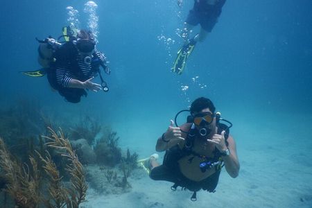 Scuba Dive and Snorkel Private Charter in Puerto Rico