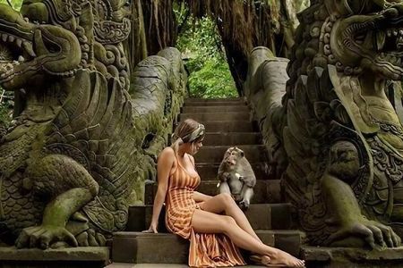 Ubud Tour: Monkey Forest - Temple - Waterfall & Rice Terrace