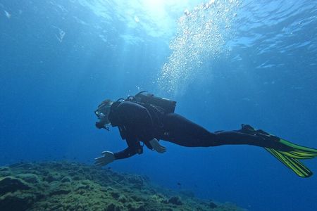 Private Scuba Diving in Tenerife – Certified Instructor & Photos