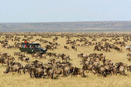 6 Days Kenya Budget Group Safari