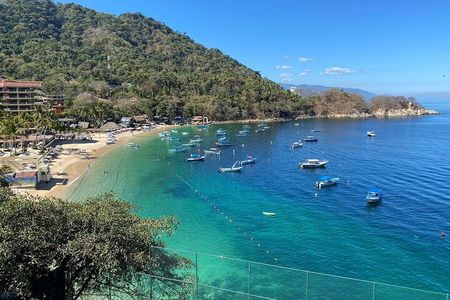 Private Tour of Puerto Vallarta and the Subtropical Forest