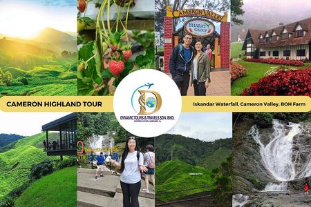 Private Full-Day Cameron Highlands Nature Tour from Kuala Lumpur