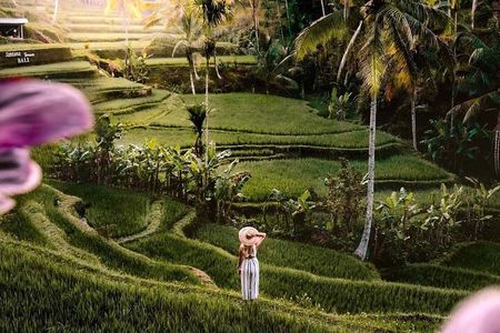 Ubud Highlights -Private Tour,Temples, Waterfalls & Rice terraces