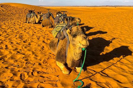 3-Days Desert Tour to Merzouga Dunes