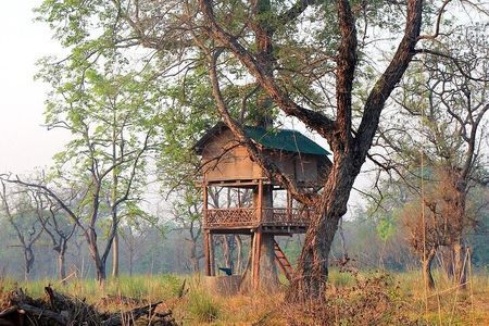 Tree House stay in Bardia National Park || 1 Night 2 Days