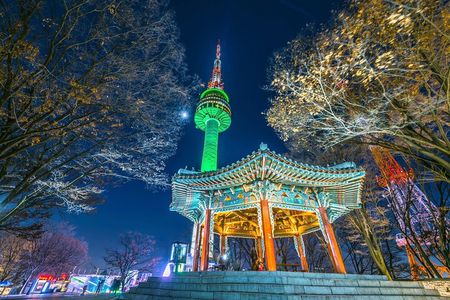Night Flexible Private Guided Tour in Seoul(Optional Layover)
