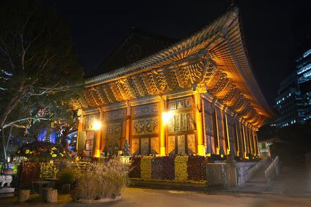Night Flexible Private Guided Tour in Seoul(Optional Layover)