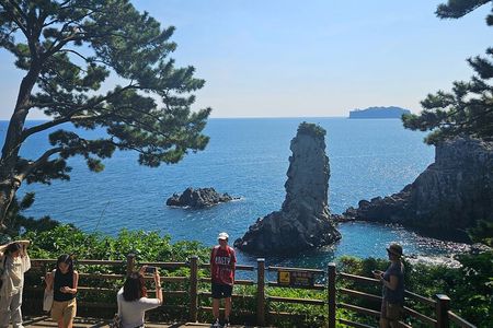 Private Guided Car Tour in Jeju Island 