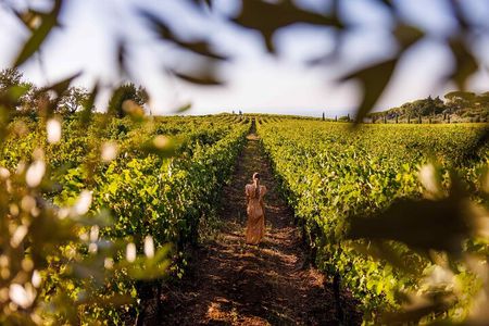 Wine Tasting in Frascati from Rome