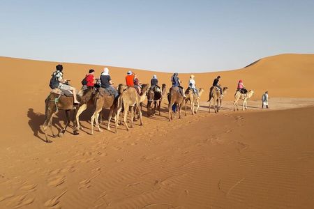 3-day 2-night Sahara Desert Adventure